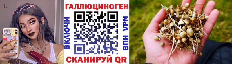 Галлюциногенные грибы Cubensis  Югорск 