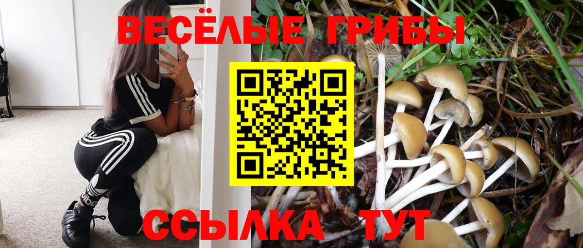 как найти закладки  Вход с VPN  Югорск  Псилоцибиновые грибы Psilocybine cubensis 